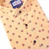 regular print men shirt